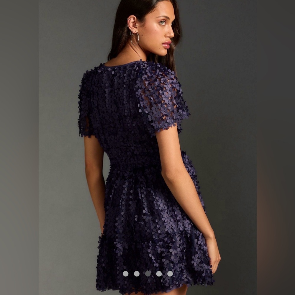 Anthropologie Floral Appliqué Somerset Mini Dress